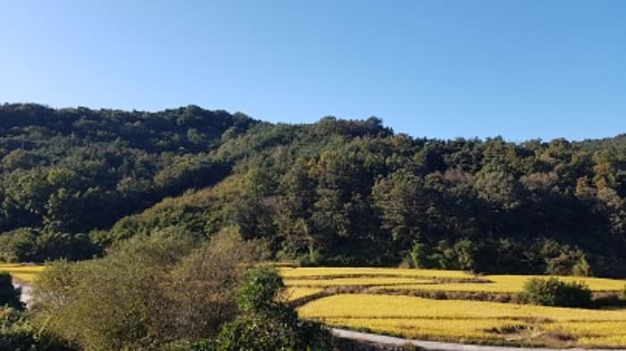 대구광역시 군위군 소보면 위성리 산70-3
