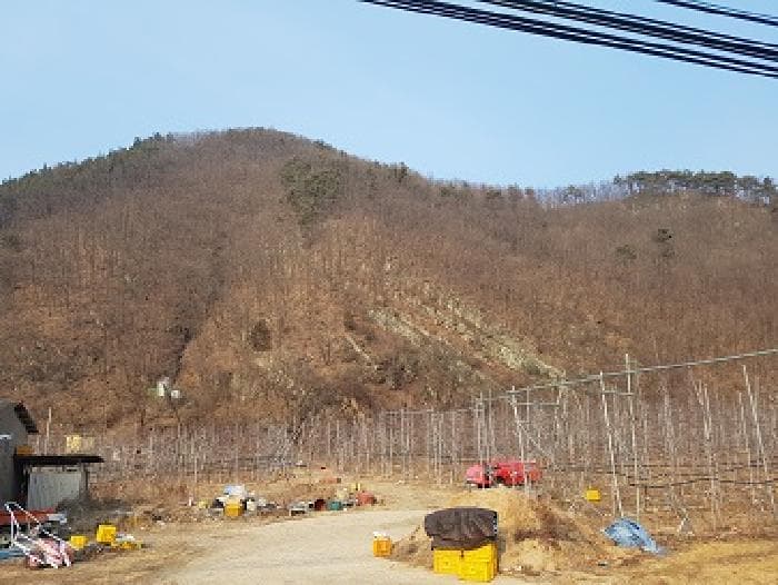 경상북도 청송군 파천면 옹점리 산76-1