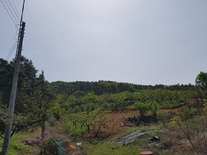 대구광역시 군위군 효령면 병수리 산72-1