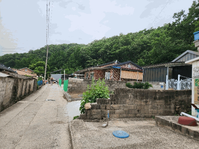 대구광역시 군위군 산성면 무암리 산134