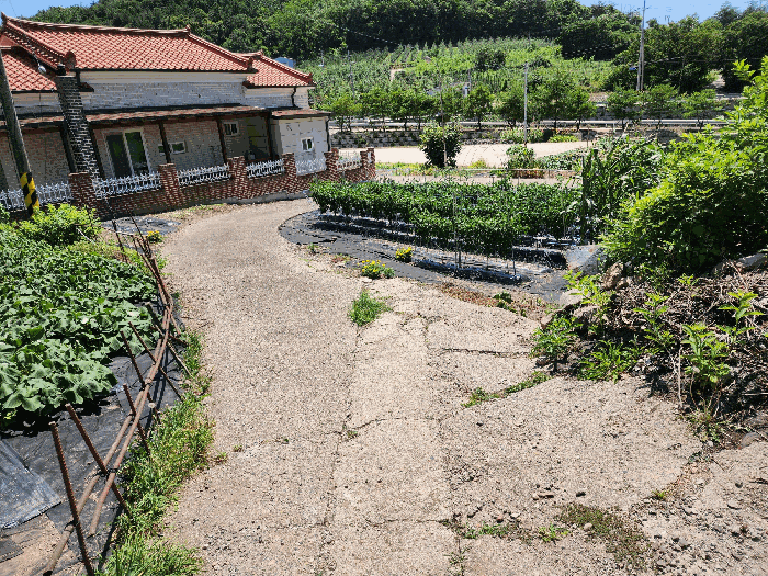 경상북도 청송군 안덕면 문거리 744-2