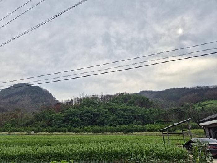 경상북도 청송군 진보면 괴정리 640-4 외 1 필지
