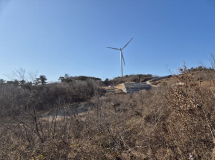 경상북도 영덕군 영덕읍 대부리 89 외 1 필지