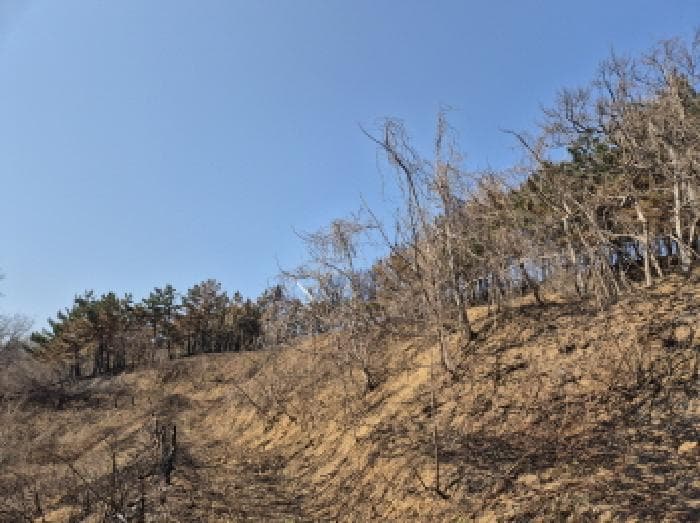 경상북도 영덕군 영덕읍 창포리 37