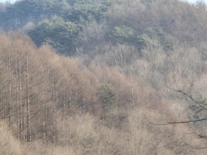 경상북도 영양군 영양읍 화천리 산151