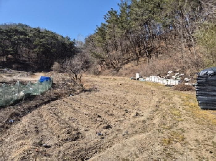 경상북도 영덕군 강구면 화전리 37