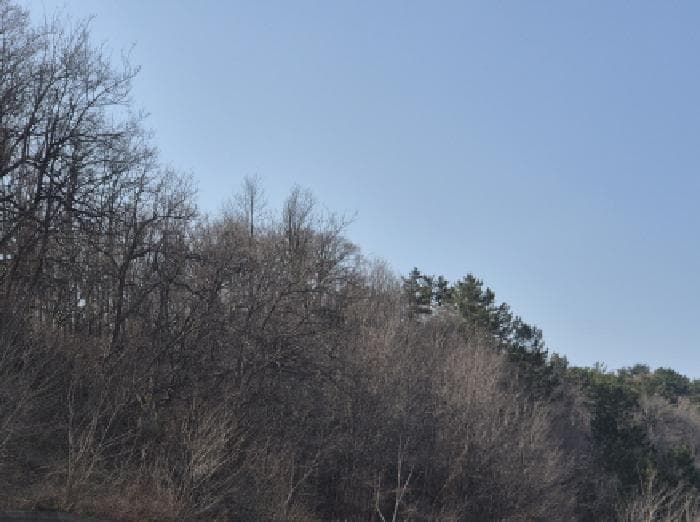 경상북도 영덕군 영덕읍 화수리 산188-1