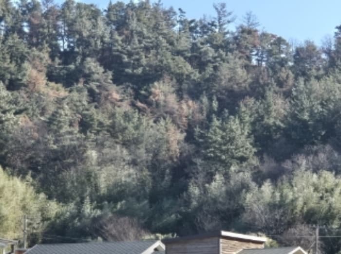 경상북도 포항시 북구 흥해읍 흥안리 산36-2