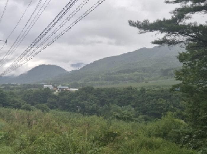 경상북도 포항시 북구 죽장면 상옥리 산224