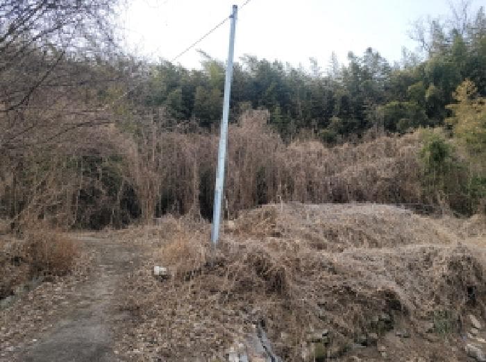 경상북도 성주군 금수강산면 광산리 967