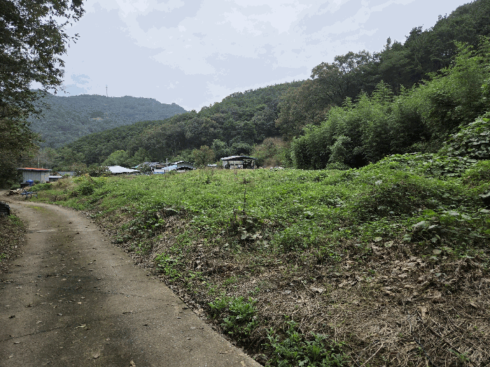 경상북도 고령군 개진면 양전리 90-1 외 9 필지