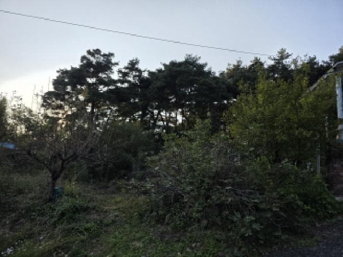 경상북도 성주군 선남면 관화리 산15