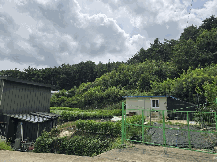 경상북도 고령군 개진면 부리 284