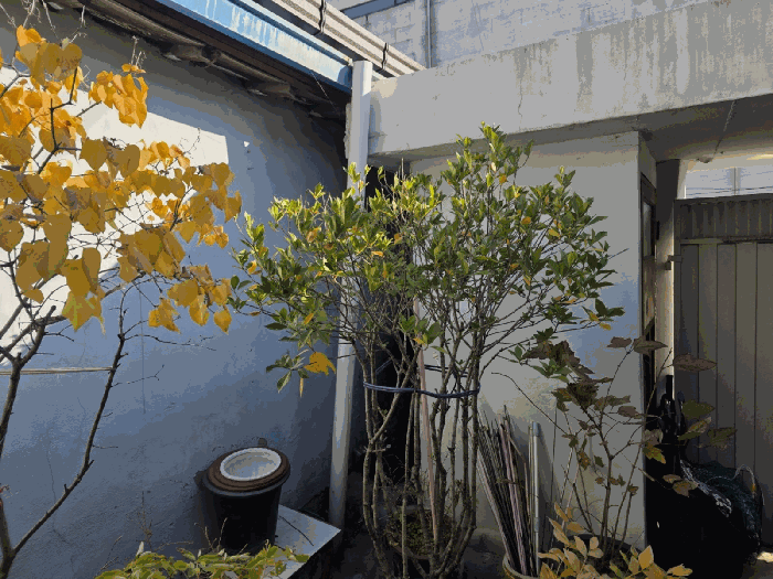 대구광역시 서구 비산동 274-22