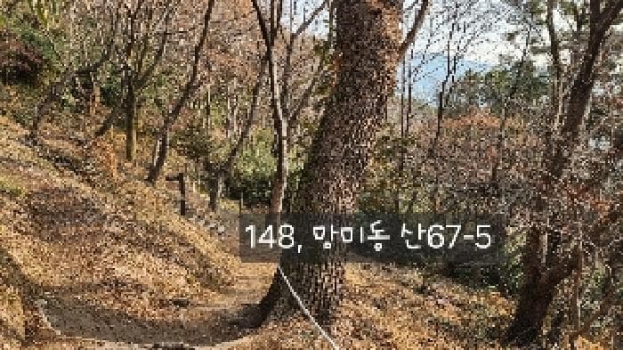 부산광역시 수영구 망미동 산67-5 외 1 필지