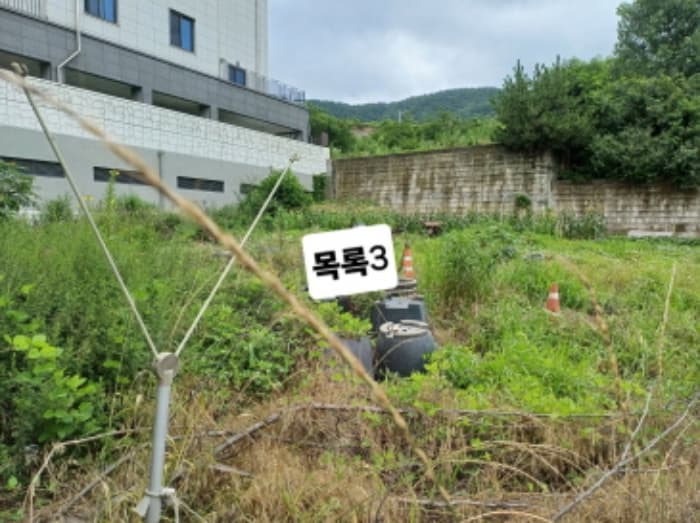 부산광역시 강서구 미음동 1527-2