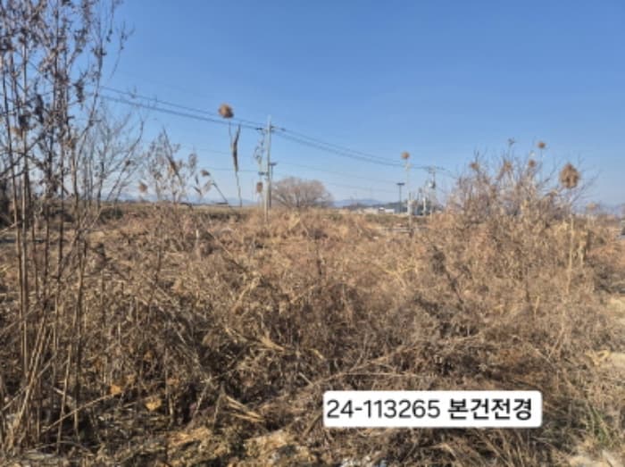 부산광역시 강서구 강동동 3136