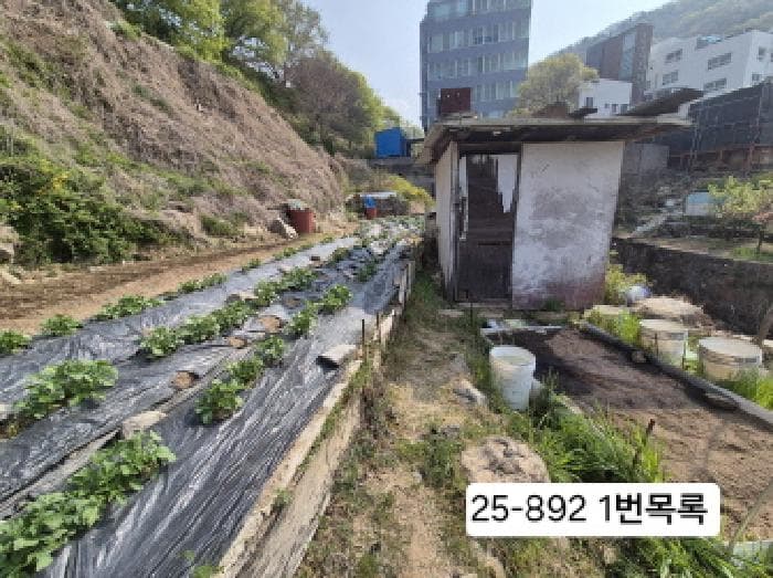 부산광역시 사상구 주례동 산37-2