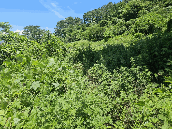 부산광역시 강서구 성북동 1228-2