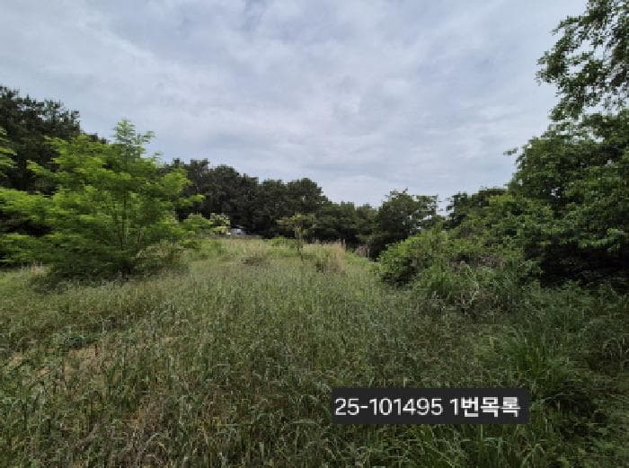 부산광역시 강서구 눌차동 389-1