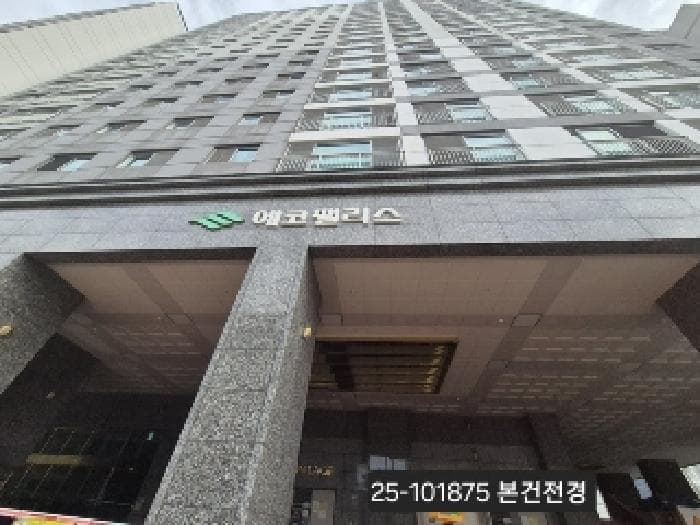 부산광역시 서구 서대신동1가 34-2 대신에코팰리스  8층807호