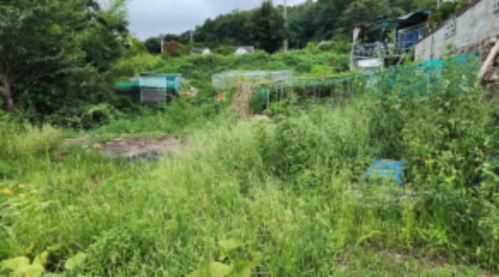 울산광역시 울주군 웅촌면 고연리 1655-7 외 3 필지