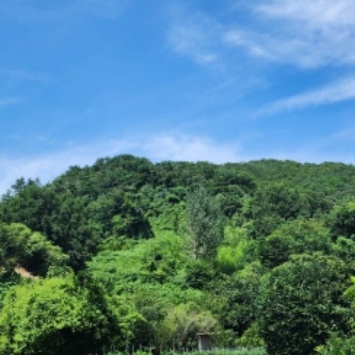 경상남도 양산시 다방동 195-14