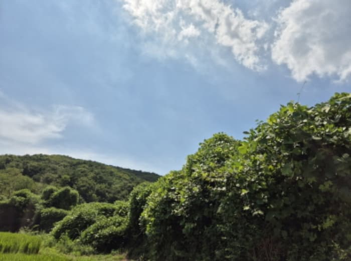 울산광역시 북구 신현동 산183