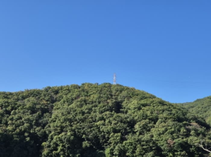 울산광역시 북구 무룡동 산150