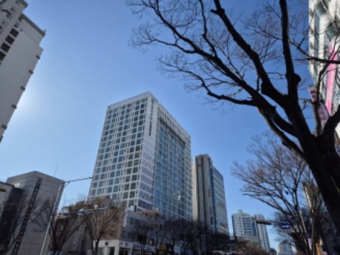 울산광역시 남구 삼산로 50, 1층106호 (신정동,신정오펠리움플러스)