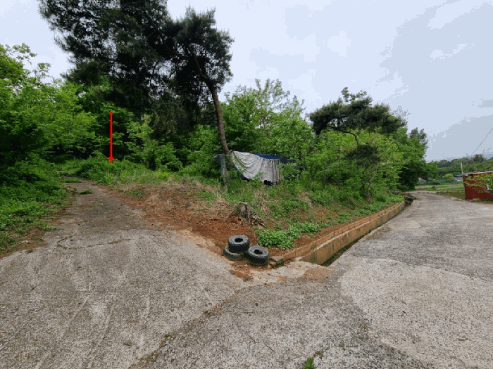 울산광역시 울주군 상북면 지내리 산81-2