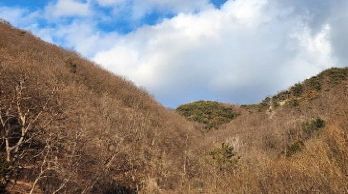 경상남도 양산시 원동면 원리 산118