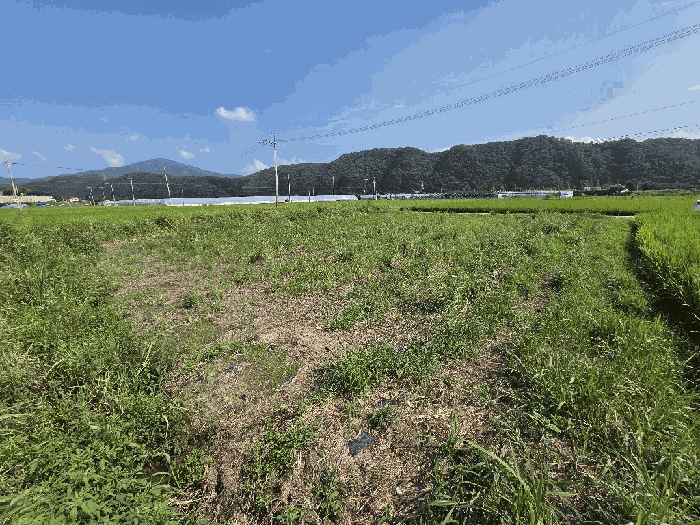 울산광역시 울주군 언양읍 반송리 613-1