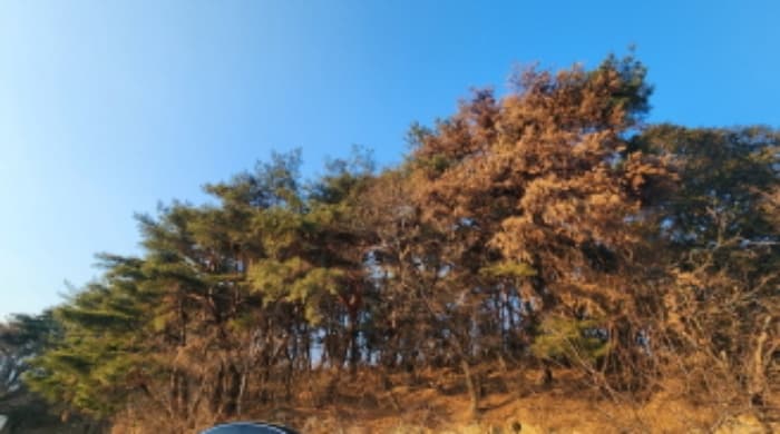 울산광역시 울주군 상북면 거리 214-2