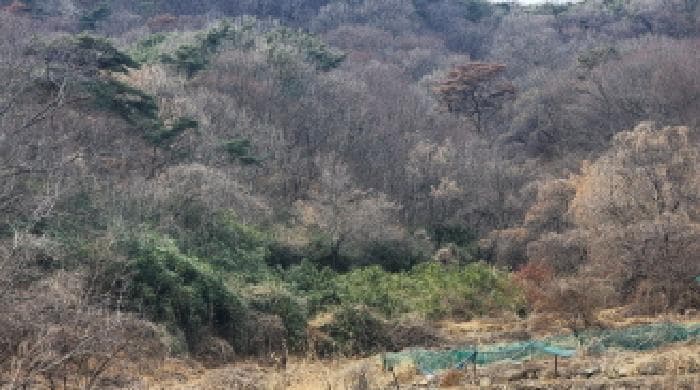 경상남도 양산시 호계동 54 외 1 필지