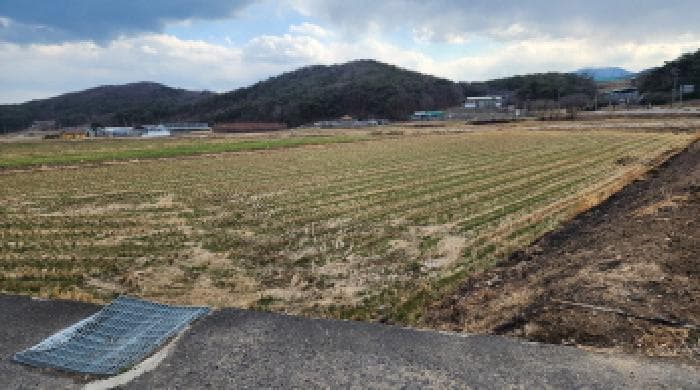 울산광역시 울주군 두서면 차리 749-2