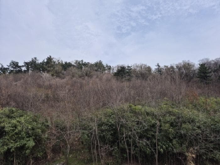 울산광역시 북구 대안동 72