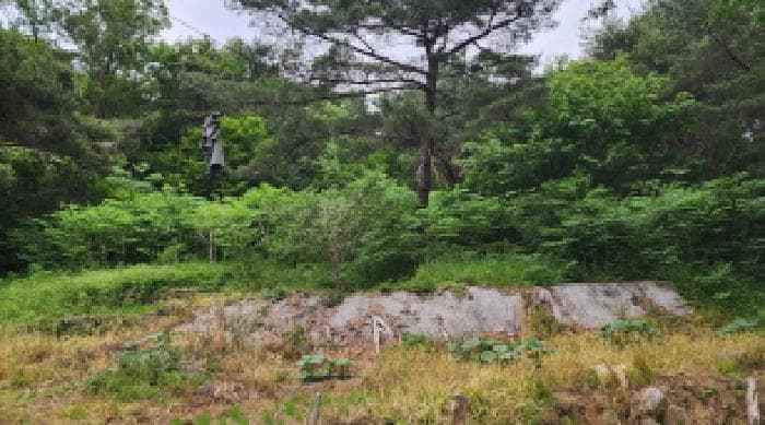 울산광역시 울주군 상북면 등억알프스리 616
