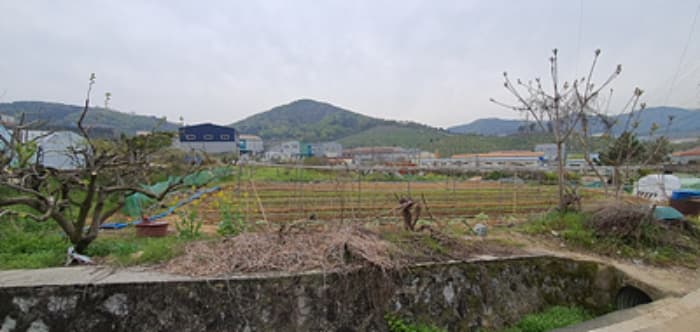경상남도 김해시 진영읍 하계리 243 외 1 필지