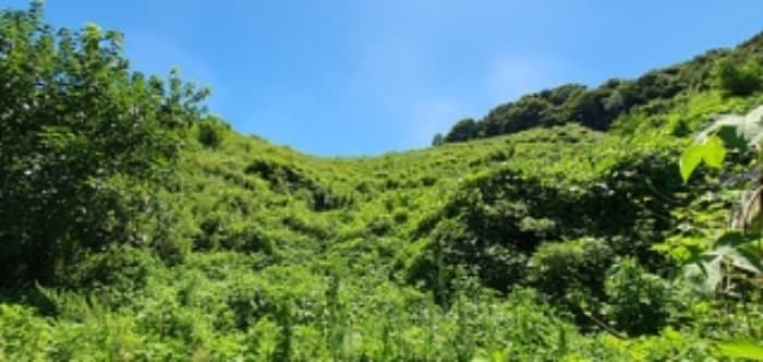 경상남도 김해시 생림면 나전리 산103