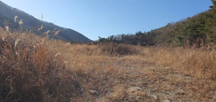 경상남도 김해시 상동면 여차리 1037-1 외 3 필지