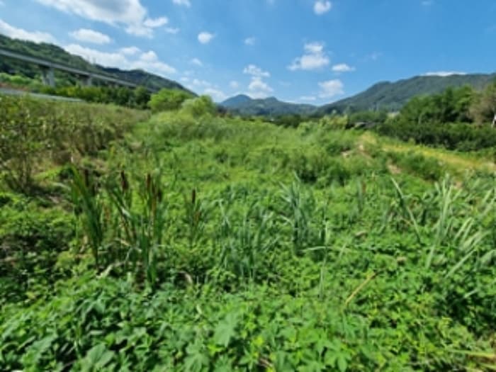 경상남도 창원시 의창구 동읍 용전리 143-4