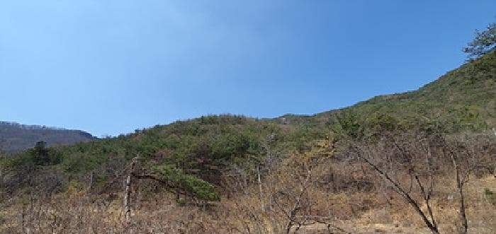 경상남도 김해시 상동면 우계리 산61