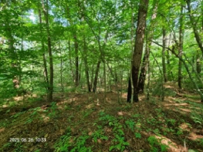 경상남도 창원시 성산구 토월동 산37