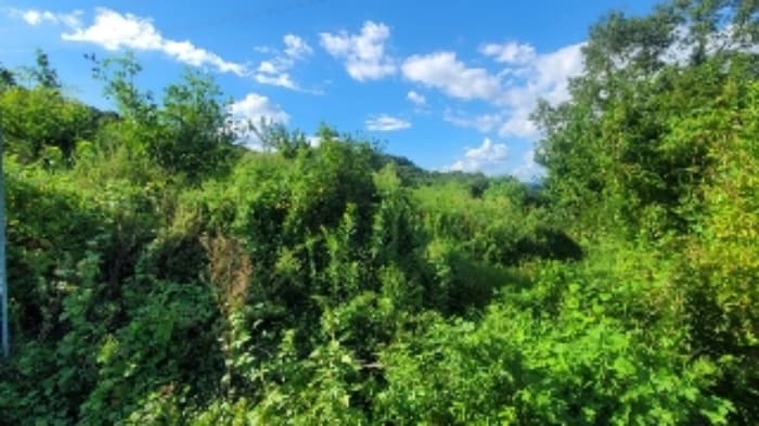 경상남도 함안군 칠서면 회산리 176