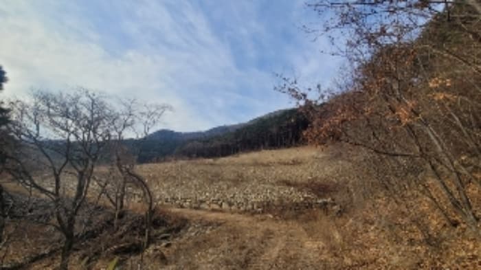 경상남도 함안군 여항면 주서리 1089