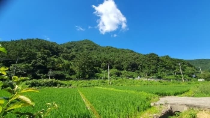 경상남도 창원시 마산합포구 진북면 영학리 산99