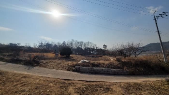 경상남도 함안군 법수면 사정리 450