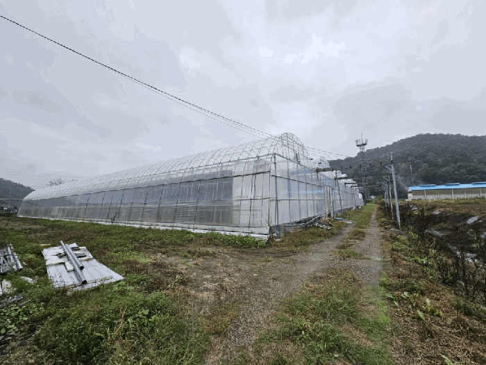 경상남도 함안군 대산면 장암리 84-5 외 1개 동