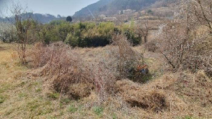 경상남도 창원시 마산합포구 진동면 신기리 109